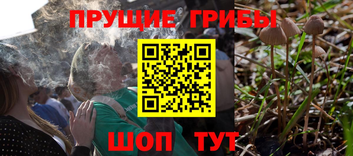 Галлюциногенные грибы мицелий  Вход с VPN  Бердск 