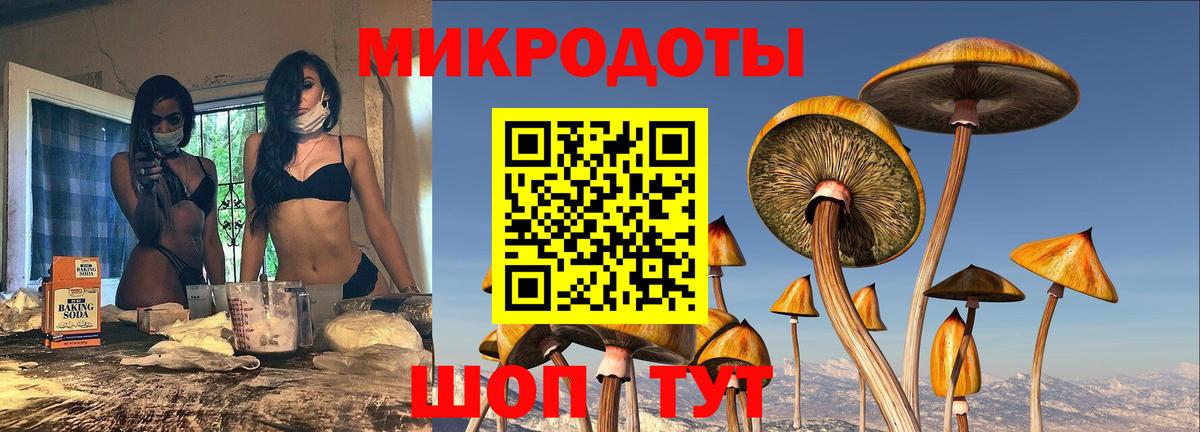 Псилоцибиновые грибы Psilocybine cubensis Бердск